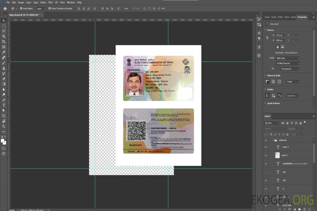 Carte d'identité avec photo d'électeur indien (preuve d'âge) template
